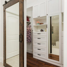mirror door
