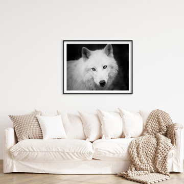 Portrait of Gray Wolf In The Forest Rustic Farmhouse Style Wall Art Prints