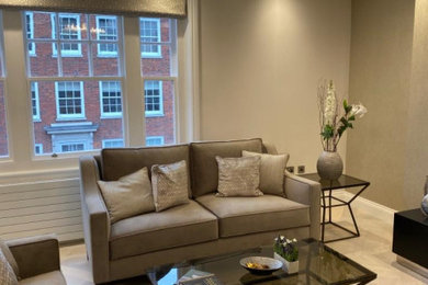 Inspiration for a modern living room in Hertfordshire.