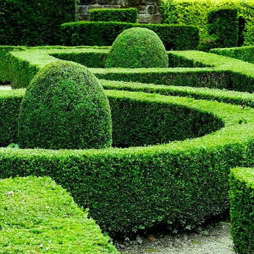 Cloud Pruning | Design | Pruning & Care