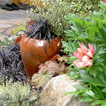Front Entrance Garden