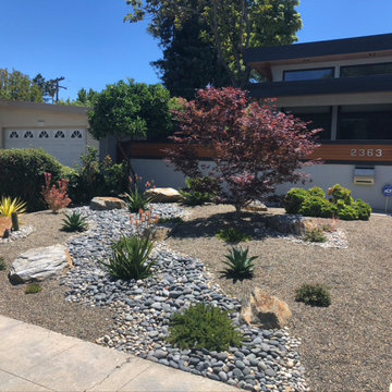 Drought-tolerant Front Yard in Mountain View