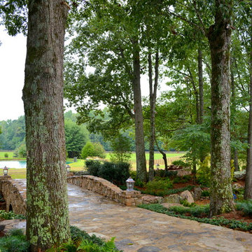 A Creek Dream