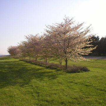 Plantings
