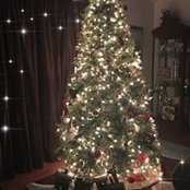 Lisa Rock's photo
