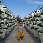 Willie Ford Jr Mba's photo
