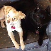 Becky Kelber's photo