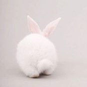 Marissa Brocato's photo