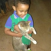 Manal Elshike's photo