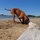 Brooklyn Pablo