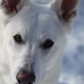 Lisa Gdaniec's photo