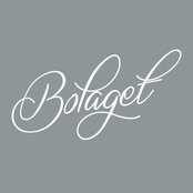 Bolaget Fastighetsförmedling's photo