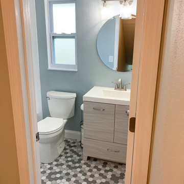Lithia Full-Home Renovation