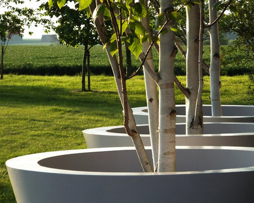 Contemporary Japanese garden