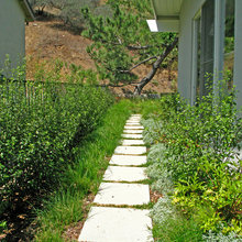 side yard photos