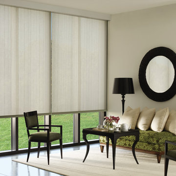 Living Room with Roller Shades