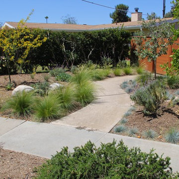 Water Wise Landscape Refresh (Clairemont Mesa)