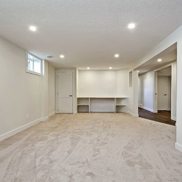 Glenwood Basement Renovation