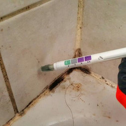 Mold Testing - Products