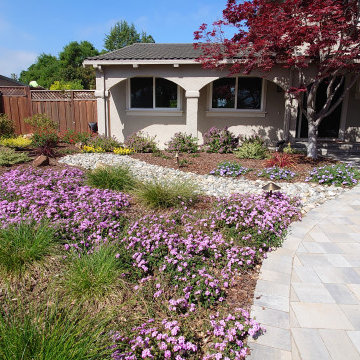 DESIGN TO COMPLIMENT MAPLE TREES