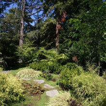 Landscape Ideas