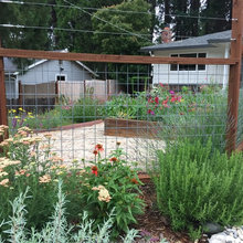 Garden Ideas