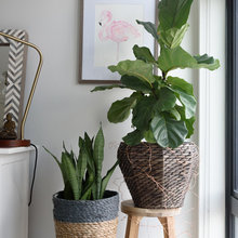 Decorating With Plants