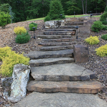 Landscape Steps