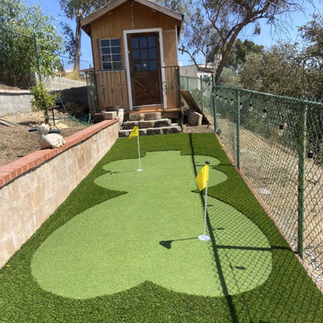 Artificial Turf and Concrete Walkway