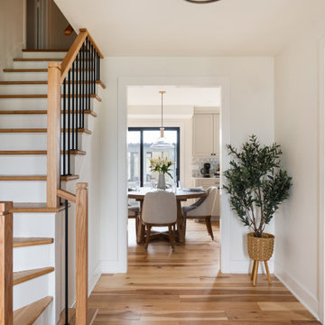 Harold Street Kitchen Renovation