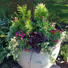 Planters