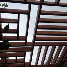 Grape arbor