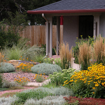 A house wrapped into the garden