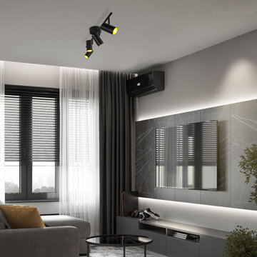 Directional Lighting Specialist - Track Lights