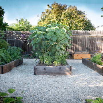 Contemporary Food Forest