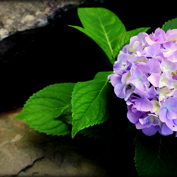 Landscaping Highlights