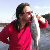 Donna H. Sheehan's photo