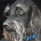 Diane Sinclair's photo