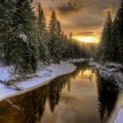 Thomas Schihl's photo