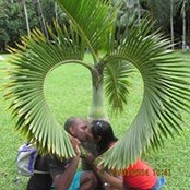 Jerome Joseph's photo