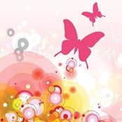 Lisa Birchfield's photo