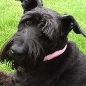 Lynda McCarthy's photo