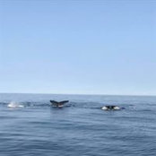 Kellie Davis's photo