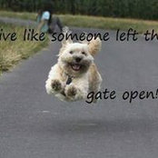 Jackie Kelly's photo