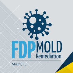FDP Mold Remediation of Miami