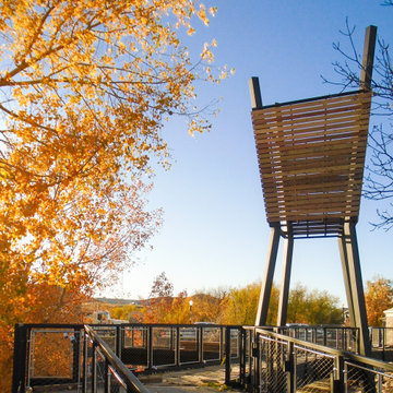 Festival Park