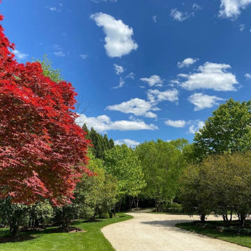 Landscaping Highlights