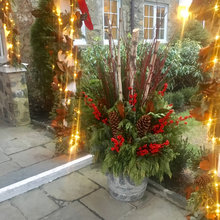 Winter Containers