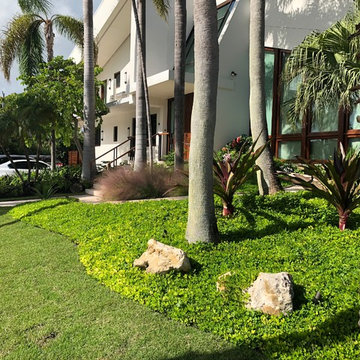 Miami Beach Residence