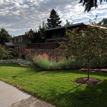 Mid Century Modern Renovation